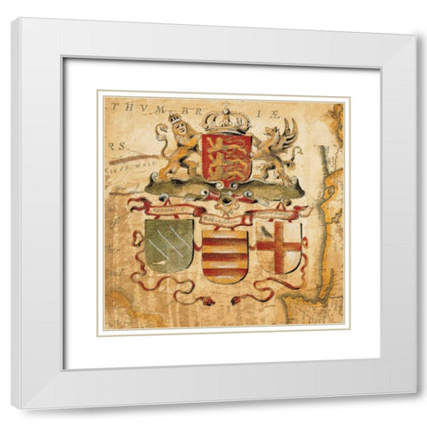 Terra Nova IV White Modern Wood Framed Art Print with Double Matting by Jardine, Liz