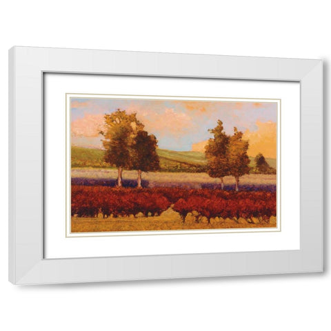 St. Pierre White Modern Wood Framed Art Print with Double Matting by Lovelace, Kent