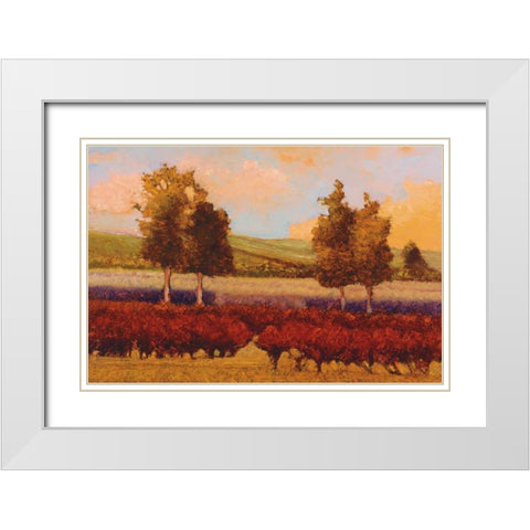 St. Pierre White Modern Wood Framed Art Print with Double Matting by Lovelace, Kent