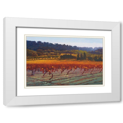 Saint Saturnin-l-Apt White Modern Wood Framed Art Print with Double Matting by Lovelace, Kent
