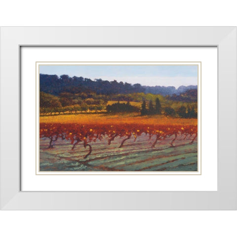 Saint Saturnin-l-Apt White Modern Wood Framed Art Print with Double Matting by Lovelace, Kent
