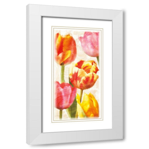 Glowing Tulips II White Modern Wood Framed Art Print with Double Matting by Pahl, Janel