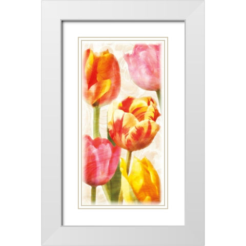 Glowing Tulips II White Modern Wood Framed Art Print with Double Matting by Pahl, Janel