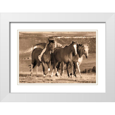 Morning Stroll White Modern Wood Framed Art Print with Double Matting by Caro, Wendy
