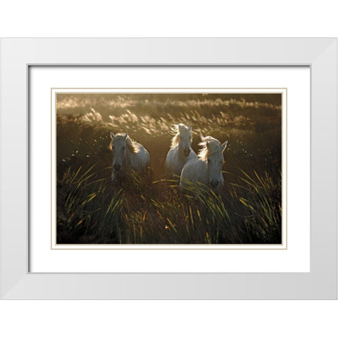 Wild and Free White Modern Wood Framed Art Print with Double Matting by Ortega, Xavier