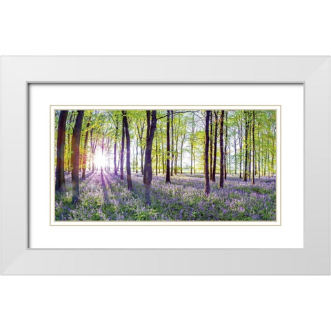 Bluebells and Sunrise White Modern Wood Framed Art Print with Double Matting by Frank, Assaf
