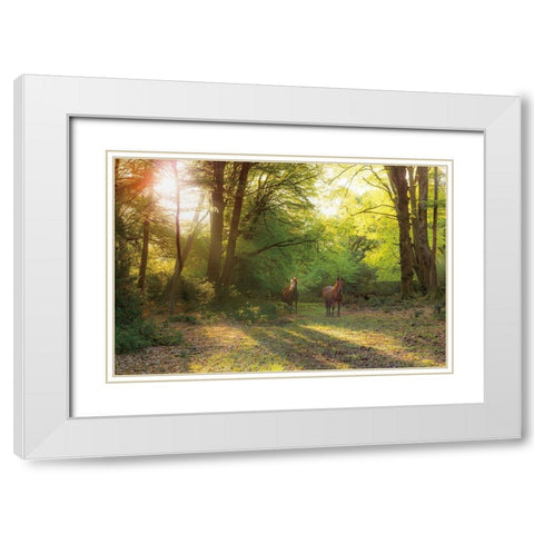 Good Morning White Modern Wood Framed Art Print with Double Matting by Frank, Assaf