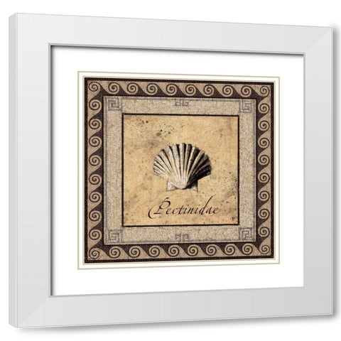Shell Works II White Modern Wood Framed Art Print with Double Matting by Panossian, Paul