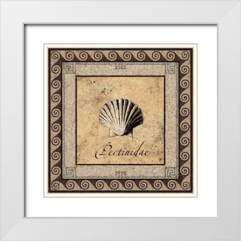 Shell Works II White Modern Wood Framed Art Print with Double Matting by Panossian, Paul