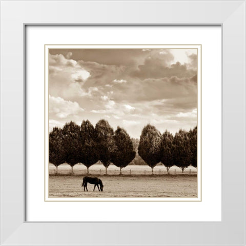 Grazing White Modern Wood Framed Art Print with Double Matting by Ross, Heather