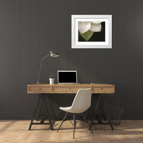 Lotus Closeup II White Modern Wood Framed Art Print with Double Matting by Christensen, Jim