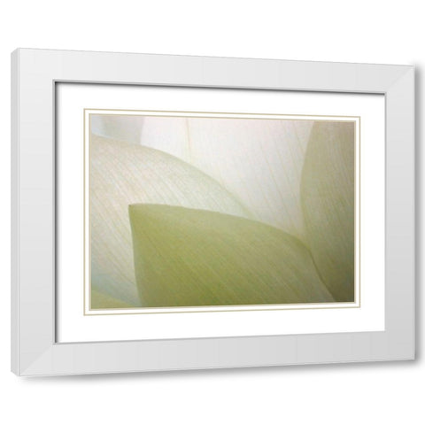 Lotus Curtain White Modern Wood Framed Art Print with Double Matting by Christensen, Jim