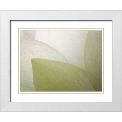 Lotus Curtain White Modern Wood Framed Art Print with Double Matting by Christensen, Jim