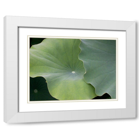Lotus III White Modern Wood Framed Art Print with Double Matting by Christensen, Jim