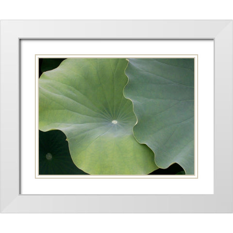 Lotus III White Modern Wood Framed Art Print with Double Matting by Christensen, Jim