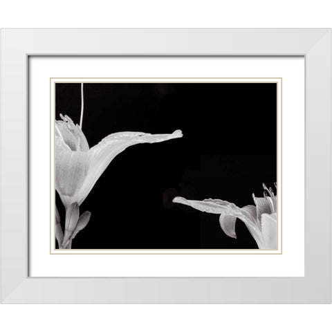 Lilies II White Modern Wood Framed Art Print with Double Matting by Christensen, Jim