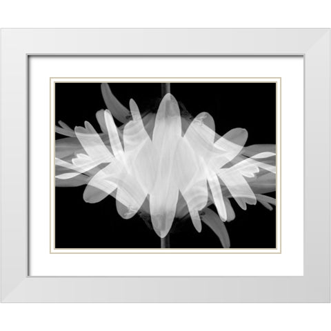 Superimposition White Modern Wood Framed Art Print with Double Matting by Christensen, Jim