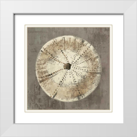 Sand Dollar I White Modern Wood Framed Art Print with Double Matting by Wilson, Aimee