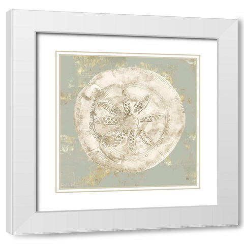 Cone Shells I White Modern Wood Framed Art Print with Double Matting by Wilson, Aimee