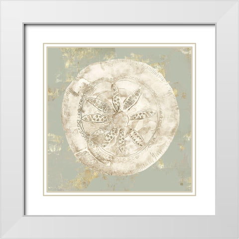 Cone Shells I White Modern Wood Framed Art Print with Double Matting by Wilson, Aimee