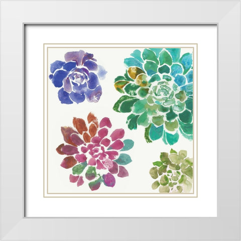 Water Succulents II White Modern Wood Framed Art Print with Double Matting by Wilson, Aimee