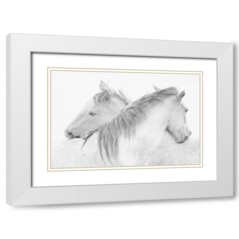Stas - Horses White Modern Wood Framed Art Print with Double Matting by 1x