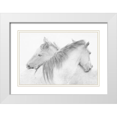 Stas - Horses White Modern Wood Framed Art Print with Double Matting by 1x