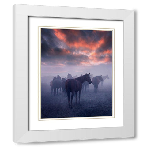 Wild Horses White Modern Wood Framed Art Print with Double Matting by 1x