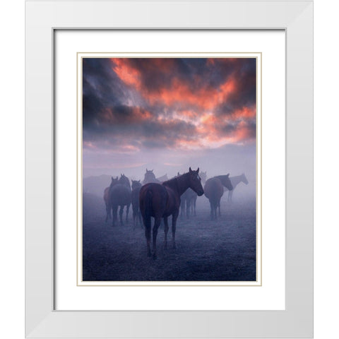 Wild Horses White Modern Wood Framed Art Print with Double Matting by 1x