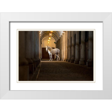 In The Barn White Modern Wood Framed Art Print with Double Matting by Asimow, Merrie
