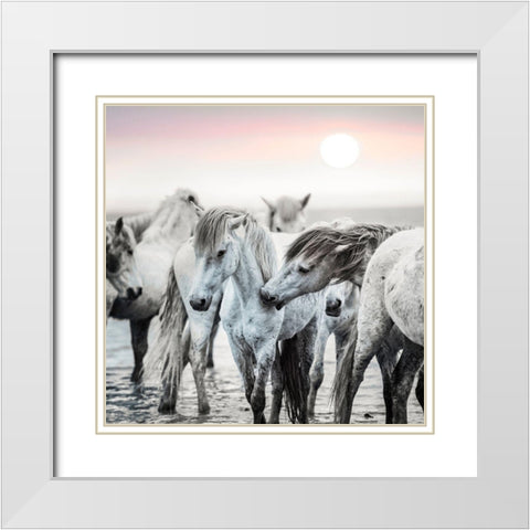 Little Nip White Modern Wood Framed Art Print with Double Matting by Asimow, Merrie