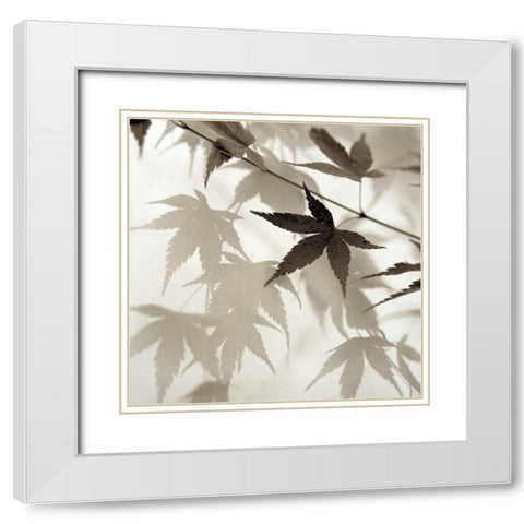 Florison - 62 White Modern Wood Framed Art Print with Double Matting by Blaustein, Alan