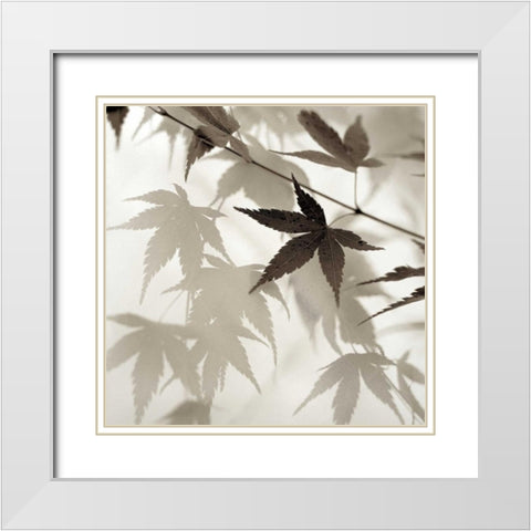 Florison - 62 White Modern Wood Framed Art Print with Double Matting by Blaustein, Alan