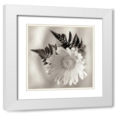 Florison - 60 White Modern Wood Framed Art Print with Double Matting by Blaustein, Alan