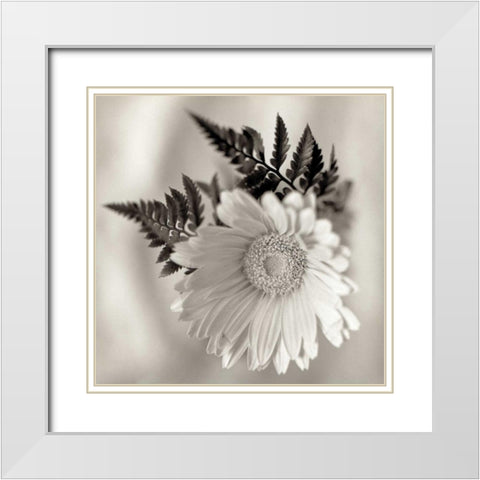 Florison - 60 White Modern Wood Framed Art Print with Double Matting by Blaustein, Alan