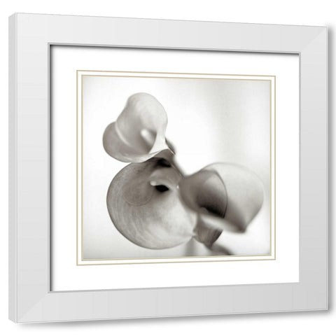 Florison - 59 White Modern Wood Framed Art Print with Double Matting by Blaustein, Alan