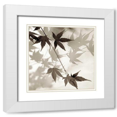 Florison - 63 White Modern Wood Framed Art Print with Double Matting by Blaustein, Alan