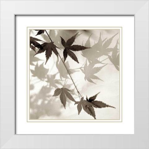 Florison - 63 White Modern Wood Framed Art Print with Double Matting by Blaustein, Alan