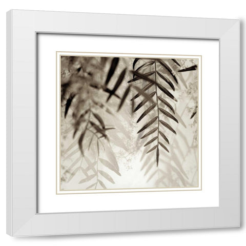 Florison - 56 White Modern Wood Framed Art Print with Double Matting by Blaustein, Alan