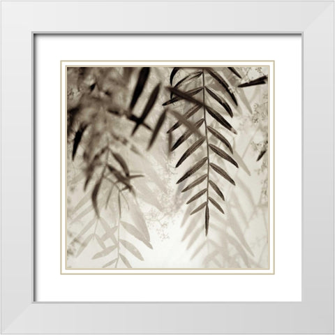 Florison - 56 White Modern Wood Framed Art Print with Double Matting by Blaustein, Alan