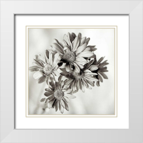 Florison - 40 White Modern Wood Framed Art Print with Double Matting by Blaustein, Alan