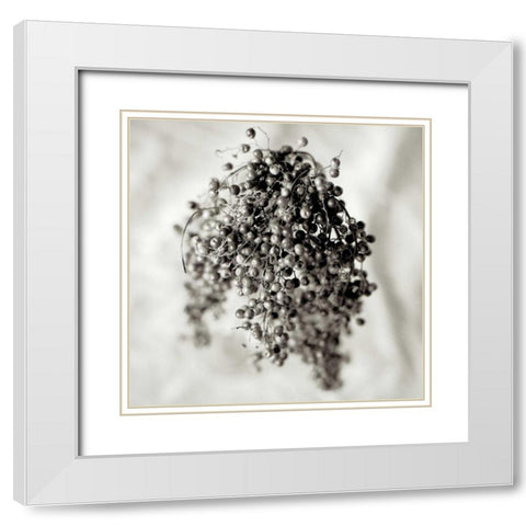 Florison - 38 White Modern Wood Framed Art Print with Double Matting by Blaustein, Alan