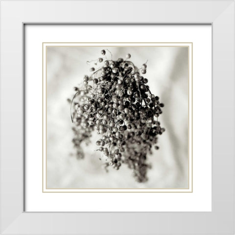 Florison - 38 White Modern Wood Framed Art Print with Double Matting by Blaustein, Alan