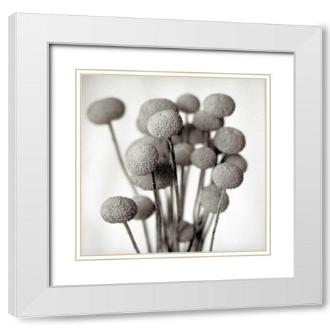 Florison - 33 White Modern Wood Framed Art Print with Double Matting by Blaustein, Alan