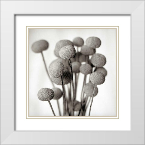 Florison - 33 White Modern Wood Framed Art Print with Double Matting by Blaustein, Alan