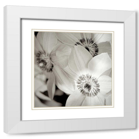 Florison - 31 White Modern Wood Framed Art Print with Double Matting by Blaustein, Alan