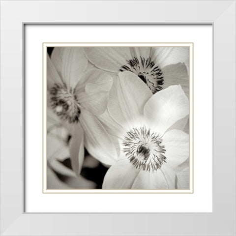 Florison - 31 White Modern Wood Framed Art Print with Double Matting by Blaustein, Alan