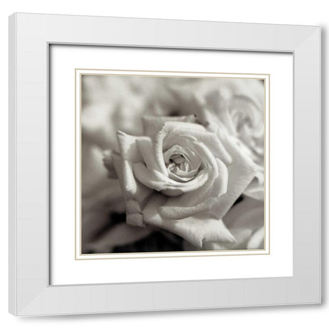 Florison - 30 White Modern Wood Framed Art Print with Double Matting by Blaustein, Alan