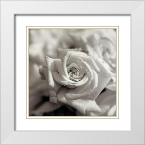 Florison - 30 White Modern Wood Framed Art Print with Double Matting by Blaustein, Alan