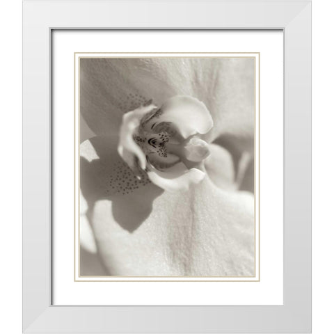 Florison - 8 White Modern Wood Framed Art Print with Double Matting by Blaustein, Alan